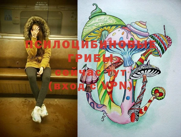сатива Кукмор