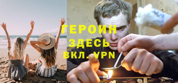 сатива Кукмор